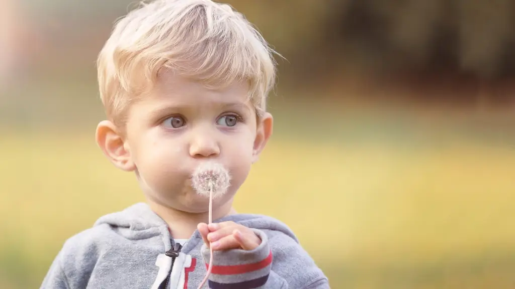 Prevotella copri: бактерия может предотвратить аллергию у детей