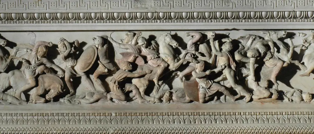 Image Image