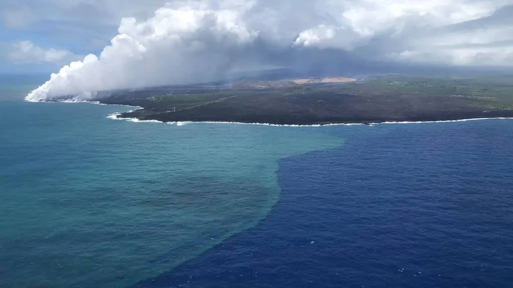 Жара в Тихом океане: еще одна капля уносит жизни многих морских существ
