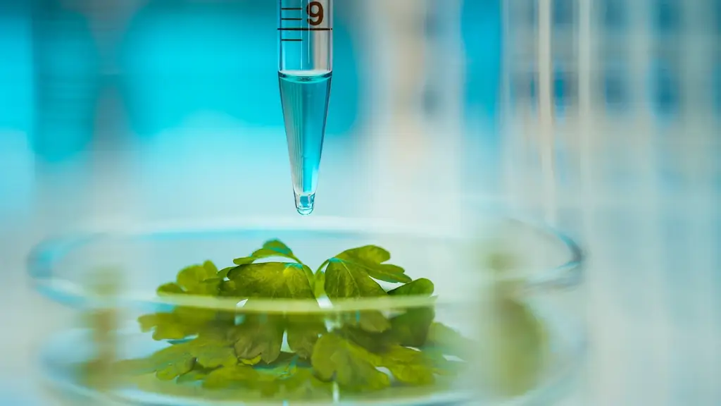 Gene scissors CRISPR: замедлить или дать полный газ растениям