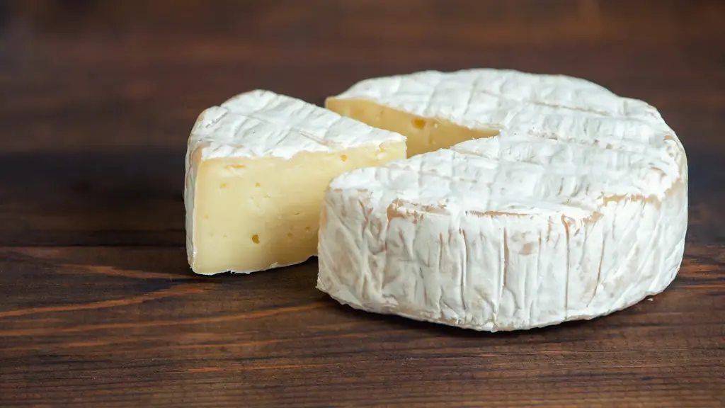 Искусственные помощники для сыра: грибы, готовые быстро учиться, радуют любителей сыра