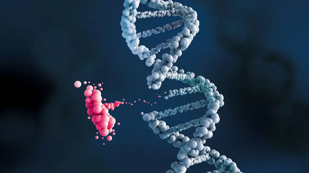 Клеточная биология: генные ножницы без ножниц могут сделать еще больше