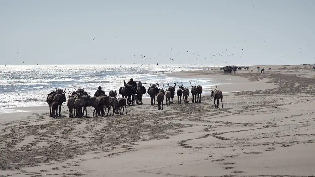 Сибирский неолит: каменный век