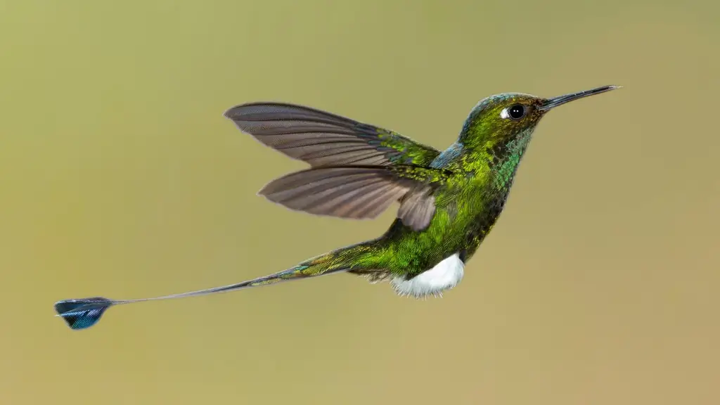 Охрана природы в Эквадоре