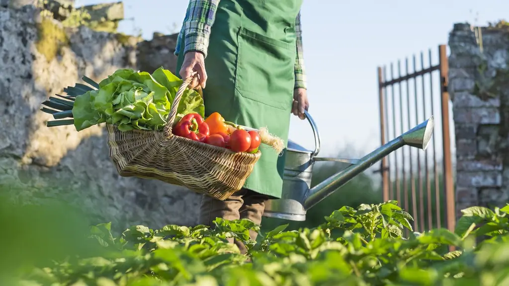 Городское садоводство: Города, которые можно попробовать