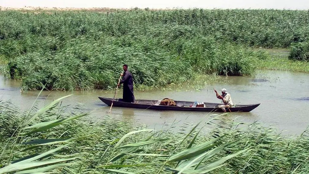 Месопотамские болота под угрозой войны и засухи