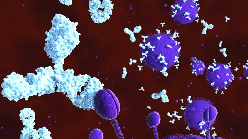 Проблемы лабораторных исследований: антитела плохих парней