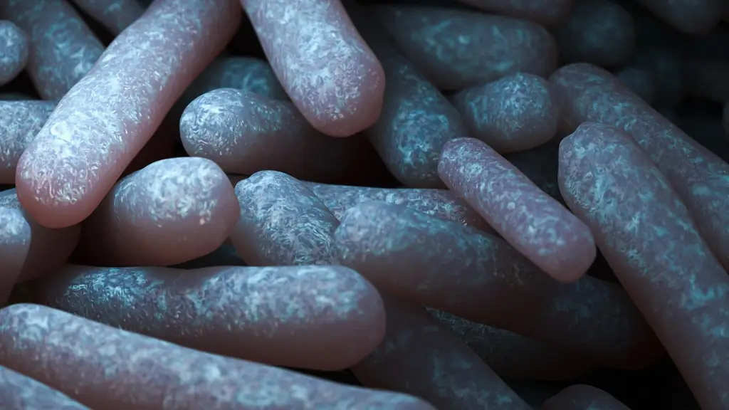 Возобновляемые источники энергии: генетически модифицированные бактерии производят пропан