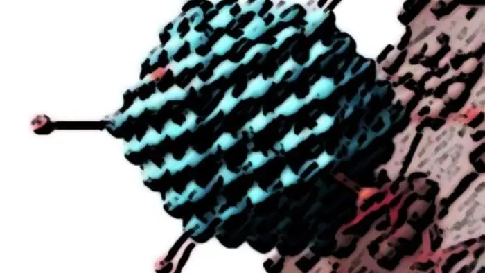 Разработка вакцины: многие