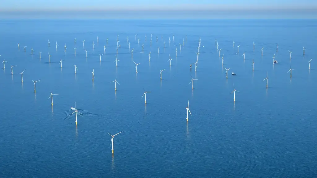 Экология: тюлени намеренно пасутся на ветряных турбинах