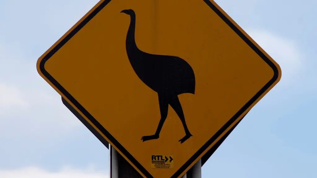 Охотники уничтожили мегафауну Новой Зеландии