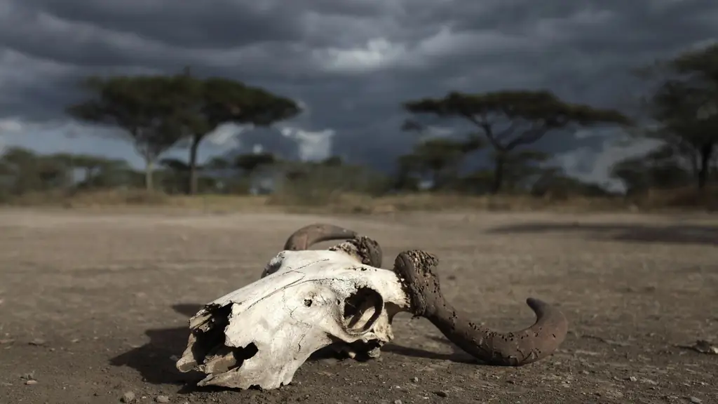 5 фактов об Эль-Ниньо