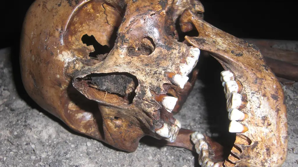 Неолитическая революция: сельское хозяйство унесло жизни тысяч