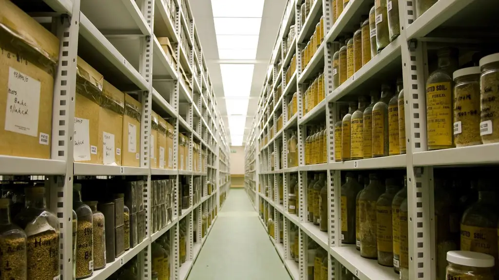 Эксперименты: наука со скоростью улитки