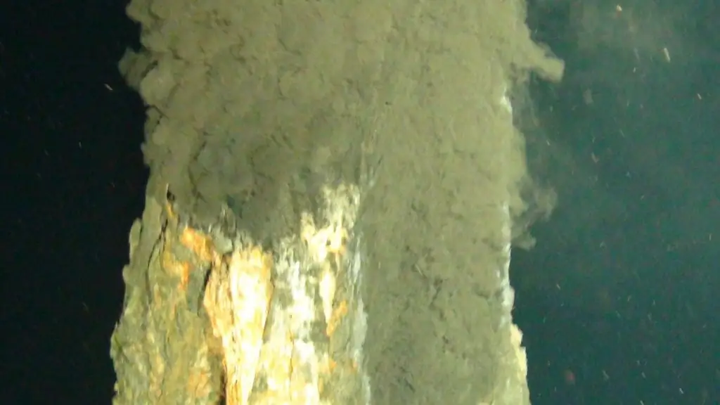 Экстремофил: микроб процветает на трудно перевариваемой пище