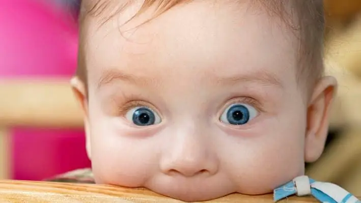 Уход за малышами: всегда стресс с яслями