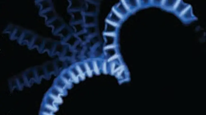 Биофизика: Найдена катапульта со спорами папоротника