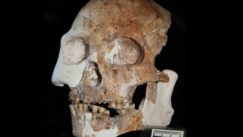 Антропология: обнаружен архаичный Homo sapiens?