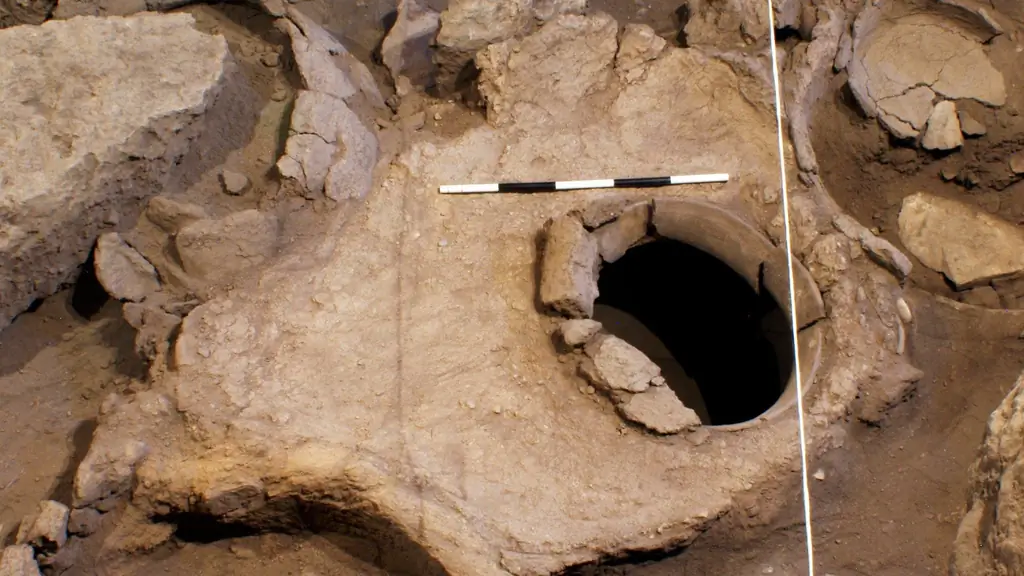 Напитки: обнаружена старейшая в мире винодельня