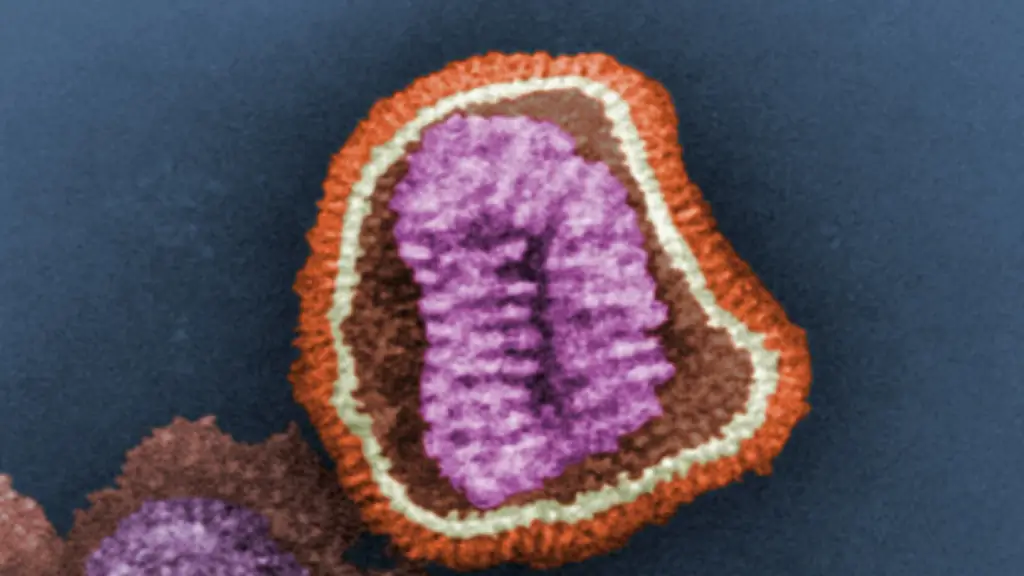 Грипп: Ахиллесова пята вируса гриппа