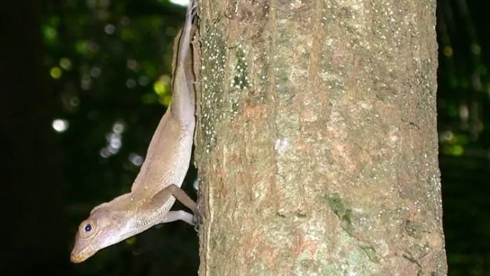 Общение: Посмотрите все