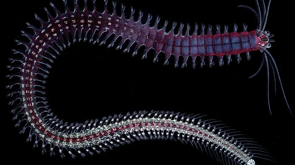 Органы чувств: Просто посмотри