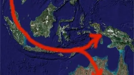Геном человека: происхождение пятого колена