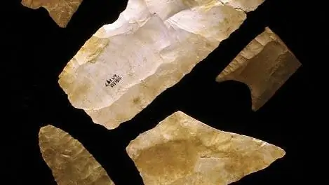 Anthropologie: против заявления о единственном представительстве