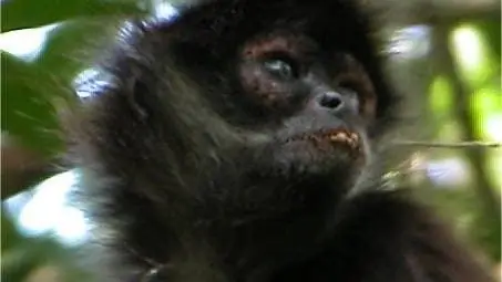 Поведение: Обнимаю тебя