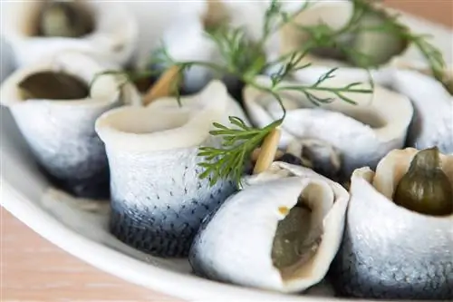 Традиционные роллмопсы - маринованные филе сельди.