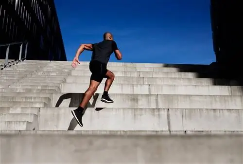 Повседневная деятельность, выполняемая несколько энергично короткими рывками, может принести пользу здоровью по сравнению с