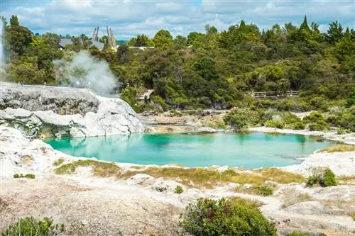 Активный гейзер в долине Те Вакареварева, Ротура.