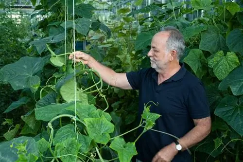 Горный курорт Аристи принадлежит и управляется Василисом Иосифисом (или г-ном Василисом, как он