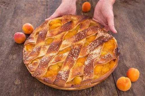 Abrikozenvlaai - голландский пирог с абрикосами - одно из фирменных блюд Bisschopsmolen.