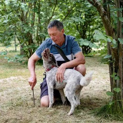 Познакомьтесь с производителем: шропширским фермером, выращивающим трюфели