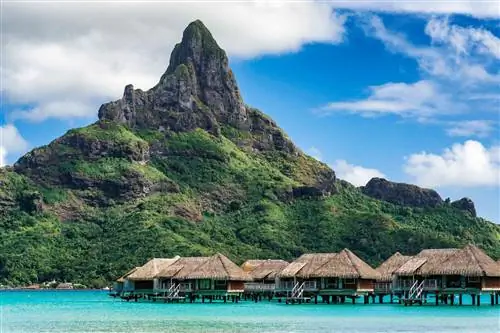 Intercontinental Bora Bora Resort & Thalasso Spa использует технологию Biorock для выращивания коралловых рифов. Intercontinental Bora Bora Resort & Thalasso Spa использует технологию Biorock для выращивания коралловых рифов.