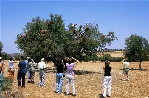 GettyImages-453888132