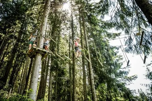 Парк приключений Hornpark Tree Top - крупнейший парк приключений в Китцбюэльских Альпах. Ожидать