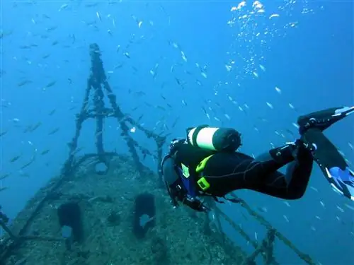 Подводный парк Ocean Revival - одно из лучших мест для дайвинга в Европе.