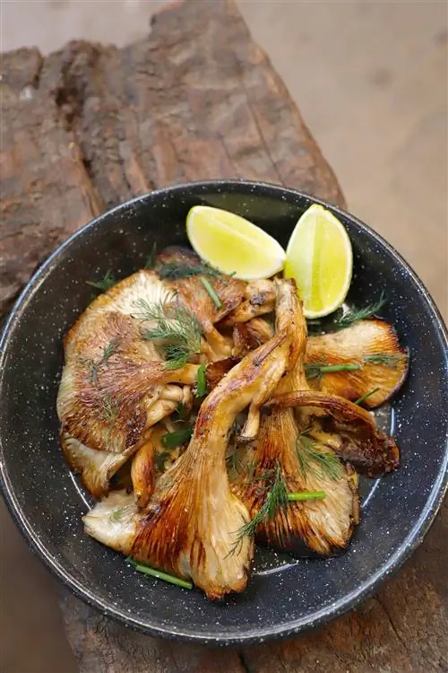 Блюдо с грибами, лимоном и укропом в экспериментальном бистро открытой планировки Chuí.