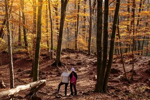 Parc Natural de la Zona Volcànica de la Garrotxa