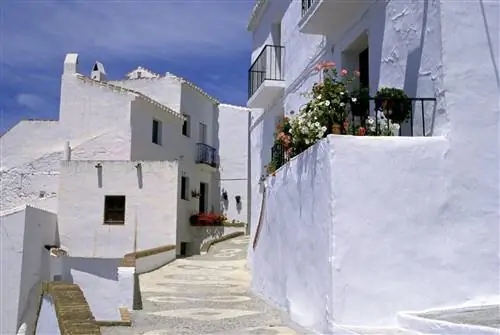 Белый город Фрихилиана