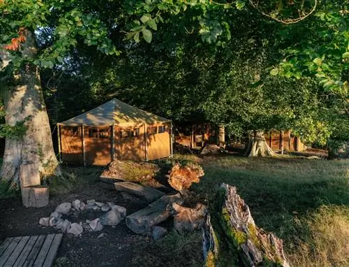 В глэмпинге в Честерсе есть палатка, окруженная ячменными полями, где посетители могут начать