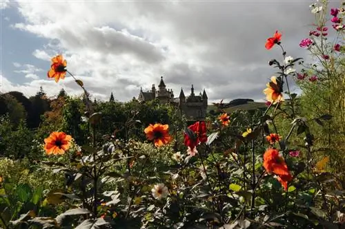 Вглядываясь сквозь цветы обнесенного стеной сада сэра Вальтера Скотта, его миниатюрный дом, похожий на замок, романтически возвышается.