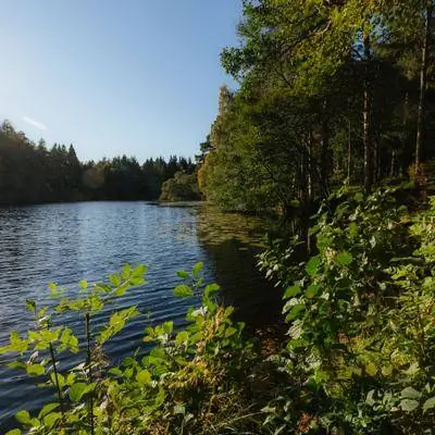 Притормози в живой истории шотландских границ