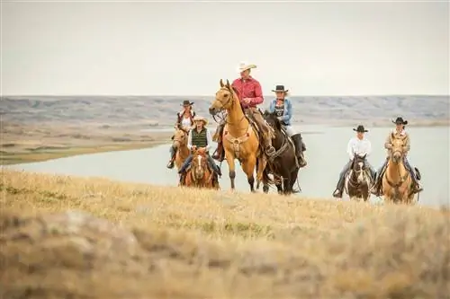 Изучите путь коровника на ранчо La Reata, рабочем ранчо крупного рогатого скота, где вы