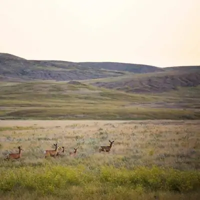 Как провести две недели в Саскачеване, прерийной провинции Канады