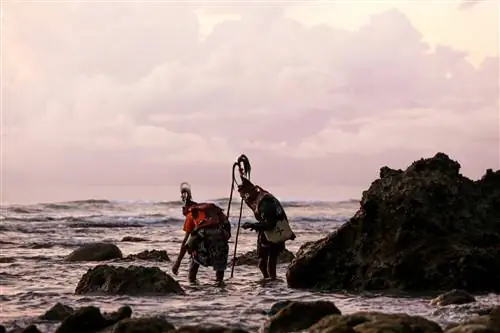 Два местных сасака собирают морских червей в рамках фестиваля Бау Ньяле в Мандалике.