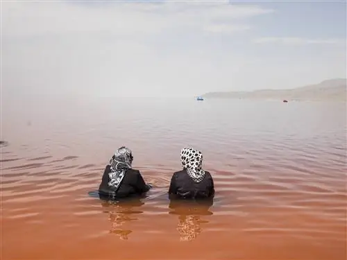 Озеро Урмия также является домом для уникальной экосистемы, а его острова служат нерестилищем для