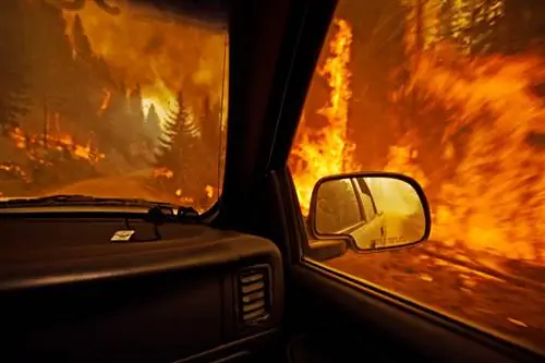 Разрушительные лесные пожары продолжают бушевать по всему миру в беспрецедентных масштабах, начиная с американского запада.